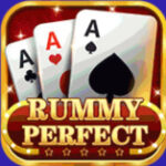 Rummy perfect apk